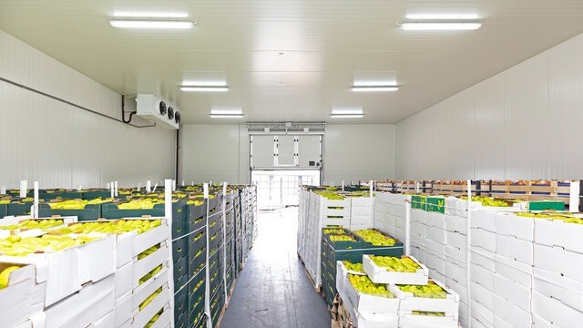 Cold chain and post-harvest monitoring for agribusiness