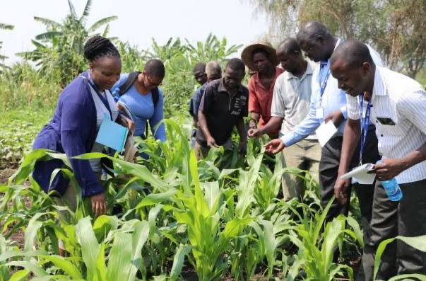 Training workshop with farmers and partners